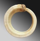 Beautiful Woman Boar Tusk Bracelet  Currency Exchange Vanuatu