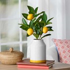 By Becky G    Alejandra 14 5  Artificial Lemon Tree In White Ceramic Vase
