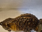 Vintage Cast Iron      Bison Bank 