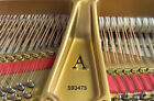One-of-a-kind  hamburg  Steinway   Sons Model A Designer Grand Piano