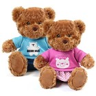  Brown Teddy Bear Stuffed Animal With Removable Clothes  2 Pack  10 Inch Plush 
