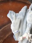 Natural Blue Ridge Coral Aquarium Home Decor Seashell