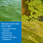 Api Pond Care Algaefix 2 5 Gal  Pond Algae Control 169j