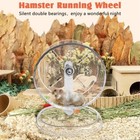 Small Hamster Wheel - 7 Inch Running Exercise Exercise Wheel For Small Animals