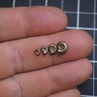 Ammonite Pyrite Miniature 4 Pcs 4-9 Mm Jurassic France Golden Fossil Lot 3353