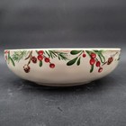 New Pier 1  winter Wonders  Christmas Holiday Individual Accent Dinner Bowl s 