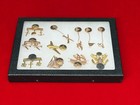 Vtg 1930 s 1940 s  terminal Tower Cleveland Ohio  Copper Pins  Lot Of  11  Rare