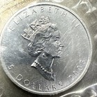 2003 Canada Elizabeth Ii 5 Dollars 9999 Silver Maple Leaf 1 Oz Coin  46