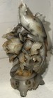 Antique Chinese Soapstone Carving  Bird And Floral  6 Inch