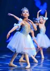 Adult Kids Professional Swan Lake Ballet Dress Ballet Tutu Ballet Stage Costumes