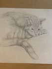 Sleeping Cat   original   drawing 11 5 X 11 5   