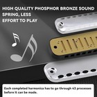Conjurer 10 Hole Blues Diatonic Harmonica Key C Harp Mouth Organ With Case Gift