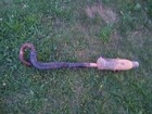 1988 Honda Fourtrax Trx 300 Exhaust Pipe Muffler