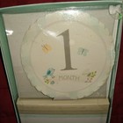 Stepping Stones Baby s First Year Memory   Milestone Set Album Stickers New 