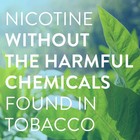 Nicotine Lozenge 2mg Mint Flavor Stop Smoking Aid Craving Relief Quit Support