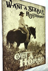 Want A Stable Relationship Get A Horse Cowboy Cowgirl Western Metal Tin Sign B2