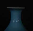Beautiful Chinese Hand Painting Monochrome Glaze Porcelain Vase