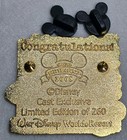 Wdw Walt Disney Jiminy Cricket 2008 Environmental Excellence Award Le 260 64552