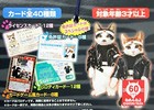 Namennayo Card Collection 2  1 Bundle With 20  Nameneko   bad Cat