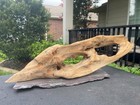 Driftwood Aquariums Fish Reptiles Decoration Pet Supplies Art Garden Aquascaping