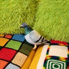 Nyc Pigeon Plush Toy 12  Realistic Stuffed Animal Bird New York City Souvenir