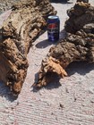 14 Lbs Cottonwood Bark 6  Thick For Hand Carving Wood Spirits 2 Lg Pieces