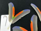 Matched Parrot Coverts 57