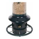 Brome Squirrel Buster Plus Squirrel-proof Bird Feeder With Cardinal Ring