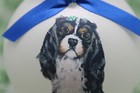 D179 Hand-made Christmas Ornament Dog - Cavalier King Charles Spaniel - Tri Sit
