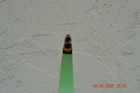Recurve Bow  Rare Ply-flex Falcon 55   64  28  Draw Length