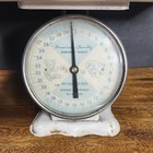 Vintage American Family 30 Lb Baby Room Nursery Scale Bear Elephant With Tray