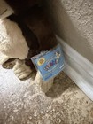 Webkinz Ganz Chimpanzee Hm172 Plush Stuffed Animal Sealed Unused Code