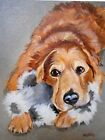 Pet Portrait Painting  Custom Oils  Golden Retriever Art Dog Artist  Rzzart