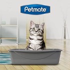Petmate Basic Open Top Entry Cat Litter Pan Plastic Rimmed Box  Large  Gray
