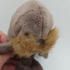 Vintage Retired Ty Beanie Babies  jolly  The Walrus 1996 Rare Stuffed Animal Toy
