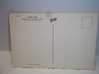 Vintage Arizona Uncirculated Postcard Saguaro Cactus Stan Davis