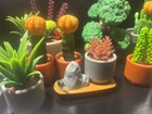 Zuru Mini Brands Create Garden Succulent Pot New Opened Ultra Rare Lot