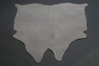 100  New Cowhide Rugs Area Cow Skin Leather  50  X 55   Cow Hide Sa-5516