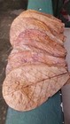 Dried Indian Almond Leaves Catappa Ketapang Leaf Shrimp Betta Fish Aquarium Care