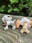 Lps Great Dane Brown white Orange Eyes  Cocker Spaniel  02441