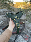 Luxury Leather Dog Harness   Padded Collar Custom Adjustable Pet Harness Leather