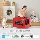 Baseaire 120pt Energystar Dehumidifier With Pump Crawlspace basement 5y Warranty