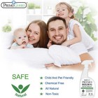 Bed Bug   Mite Killer - 24 Oz - All Natural Non Toxic - Premo Guard