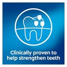 Cavity Protection Toothpaste With Fluoride  Minty Great Regular Flavor  Anti Cav