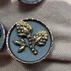 Lot Of 8 Vintage 1    Brass Buttons Floral Pattern - Tinted Blue Screen Background
