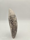  Very Nice Detailed Scrimshaw Sperm Whale Tooth Resin Replica  wearing    Co  7 