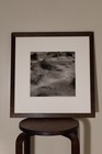Eric Lindbloom Salt Marsh Grass  24 And  30  framed-signed-numbered 