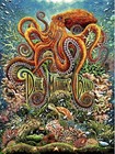Dave Matthews Band Poster Camden Nj 7 11 26 Numbered N2 In Hand Dmb Miles Tsang 