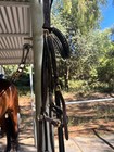 Halter Ego Dark Brown Fs Drop Nose Band Dressage Bridle Full
