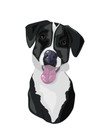 Custom Digital Pet Portrait     Personalized Artwork Of Your Pet 